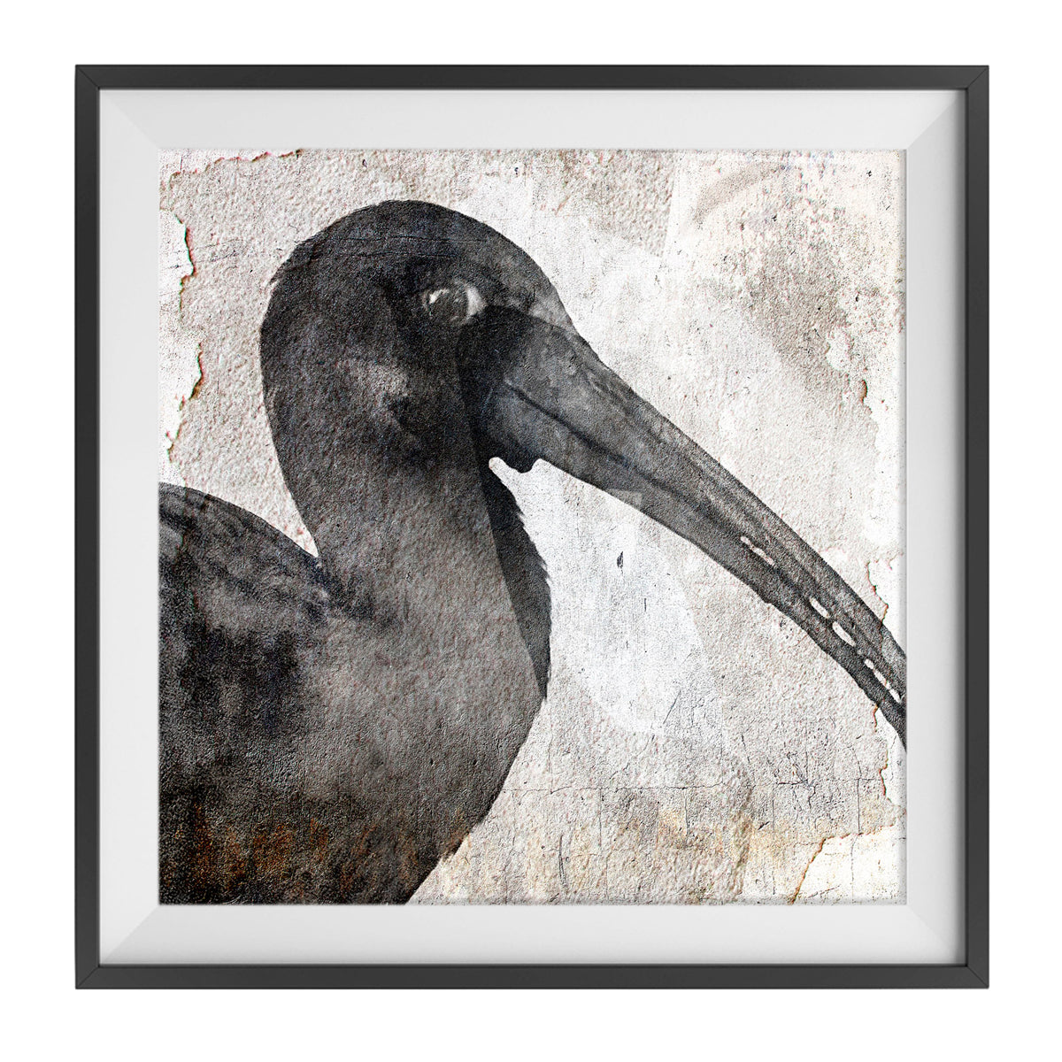Birdy