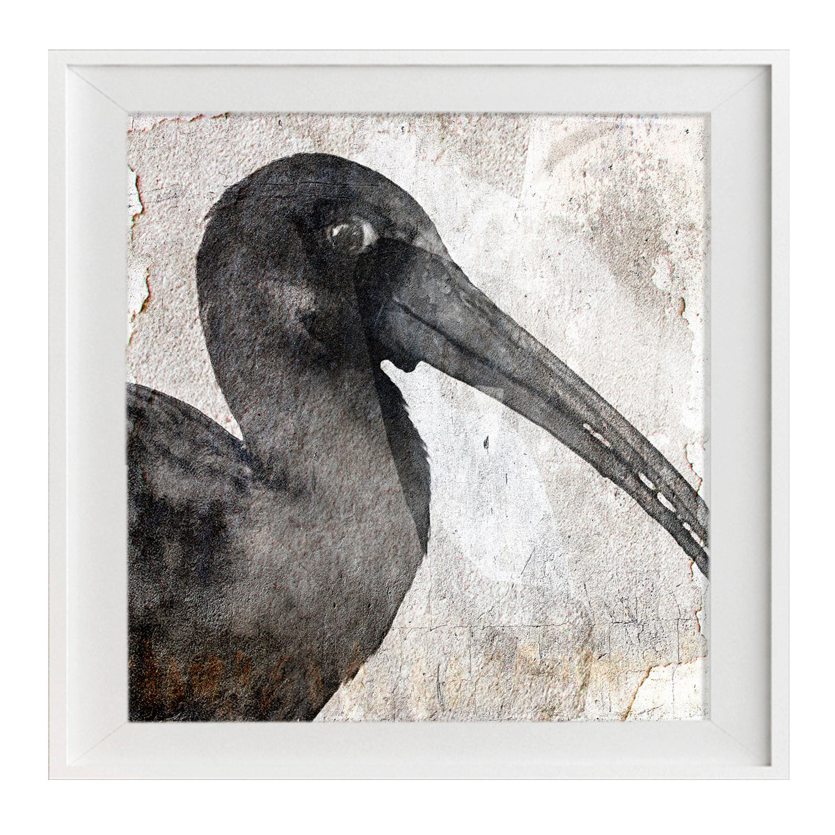 Birdy