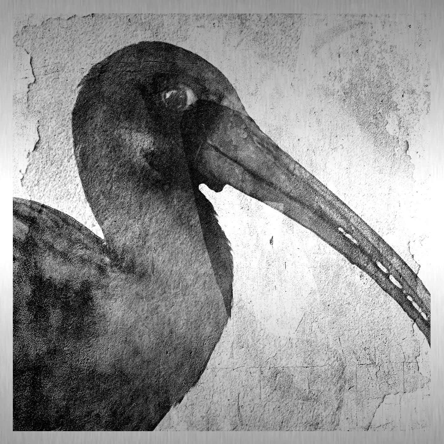 Birdy