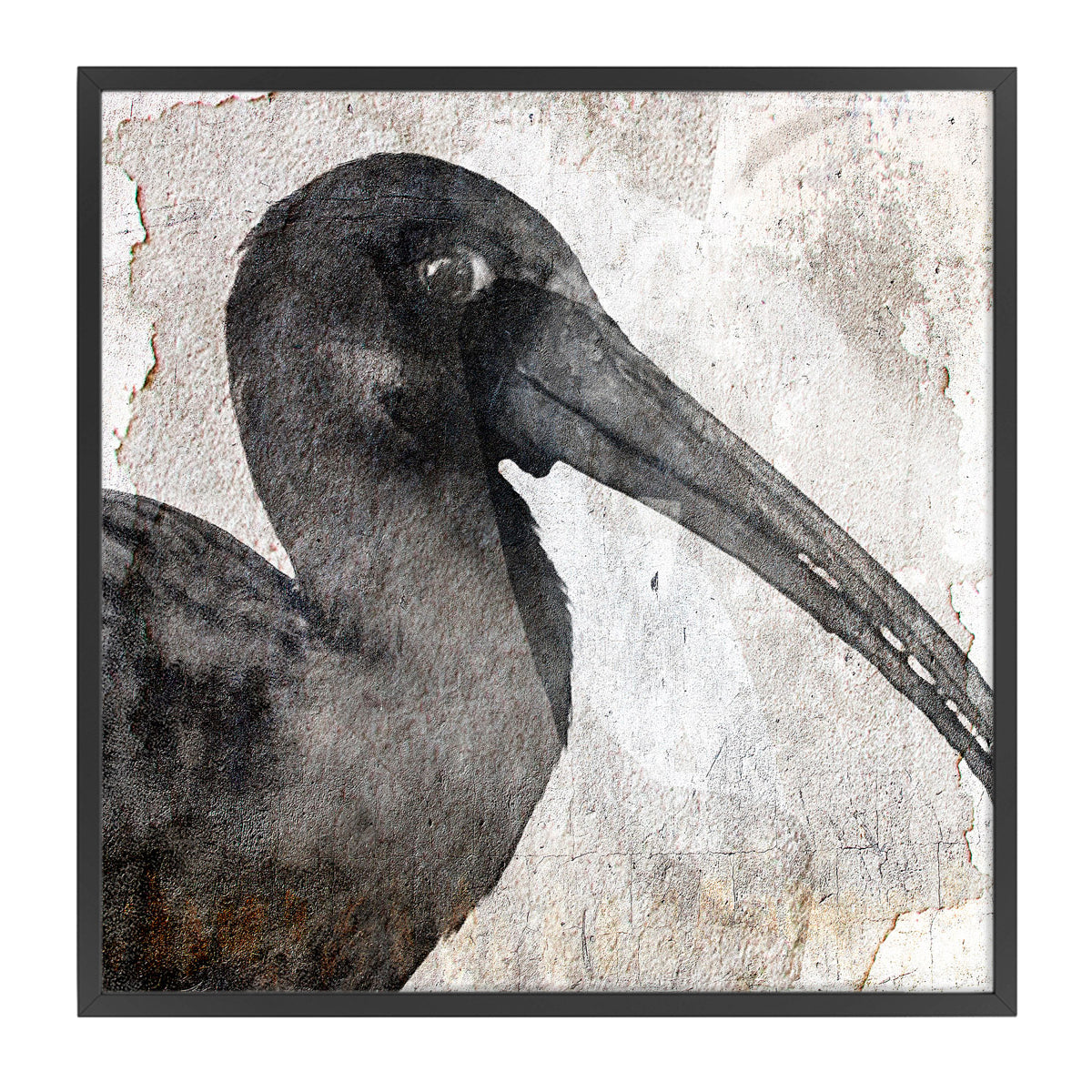Birdy