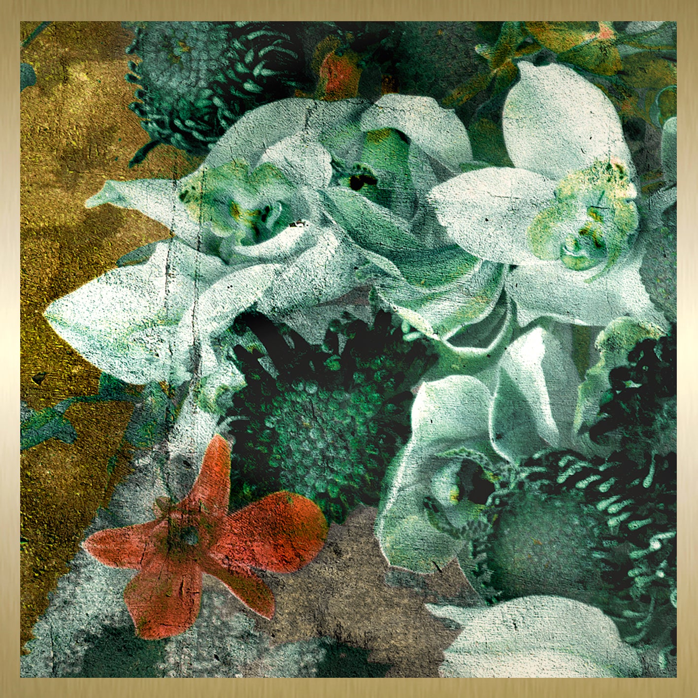 Blossoms