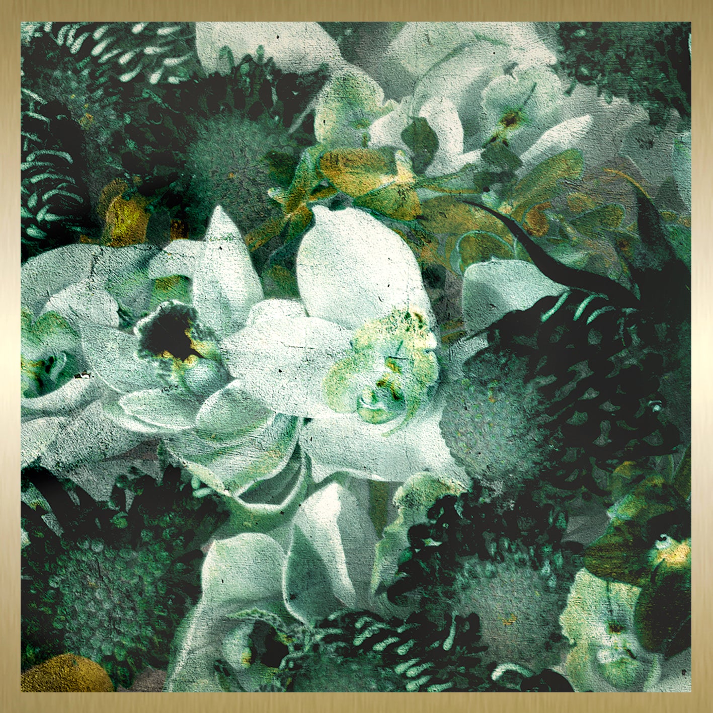 Blossoms