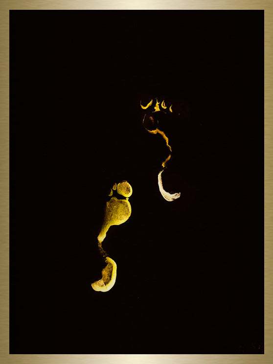 Footprint