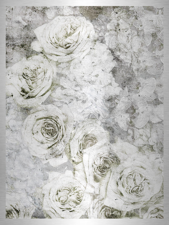 La rose blanche