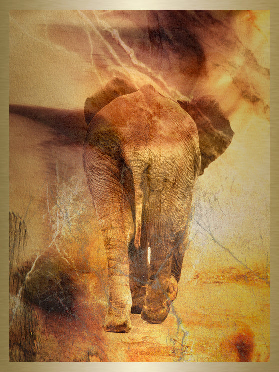 Tusk & Loop