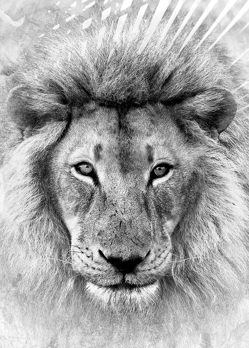 Simba