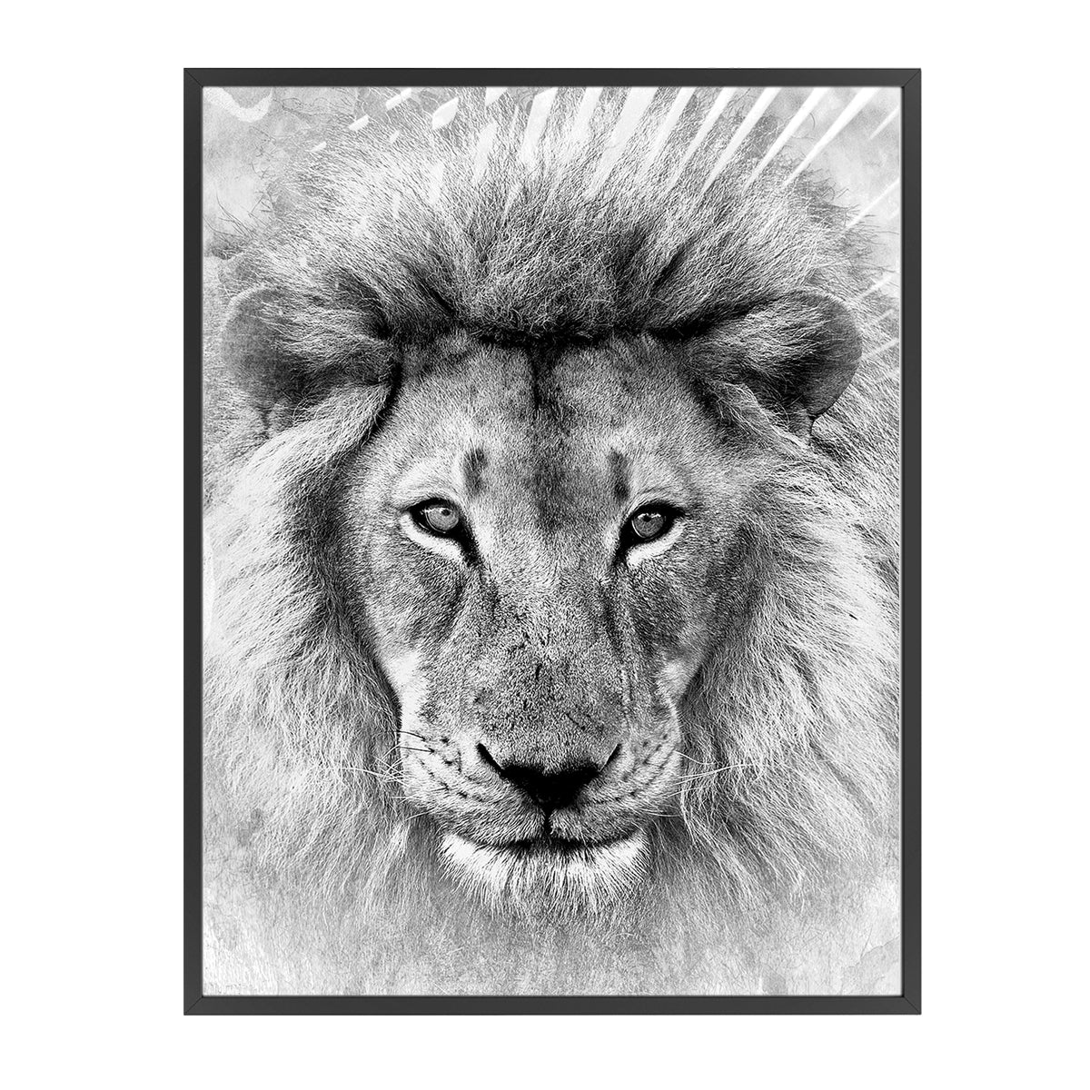 Simba