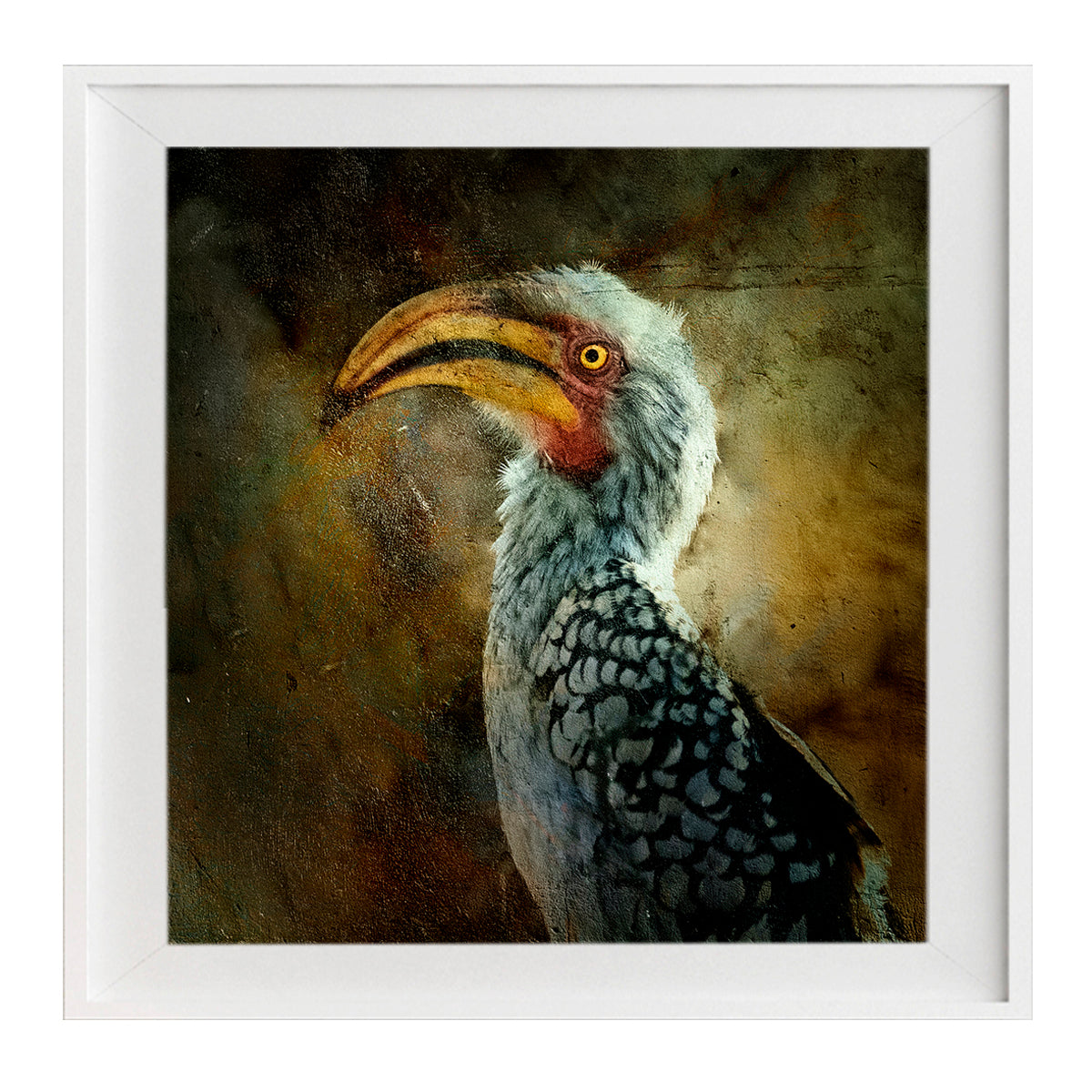 Zazu