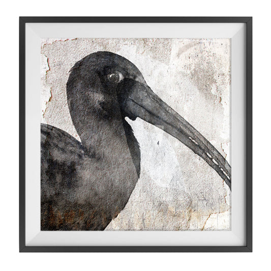Birdy