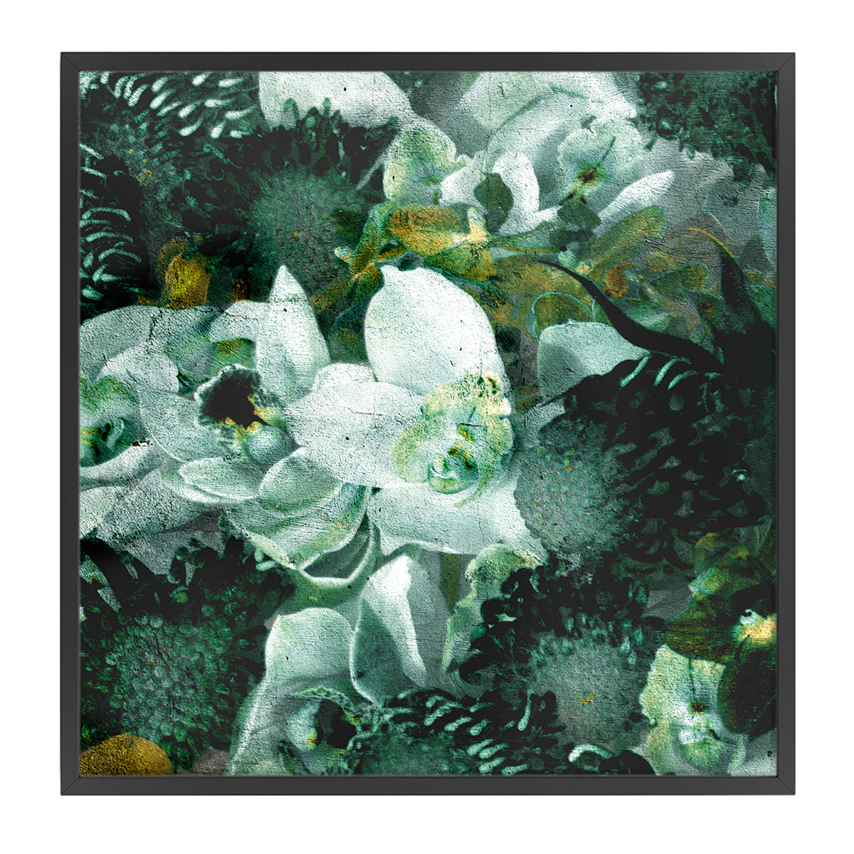 Blossom 3