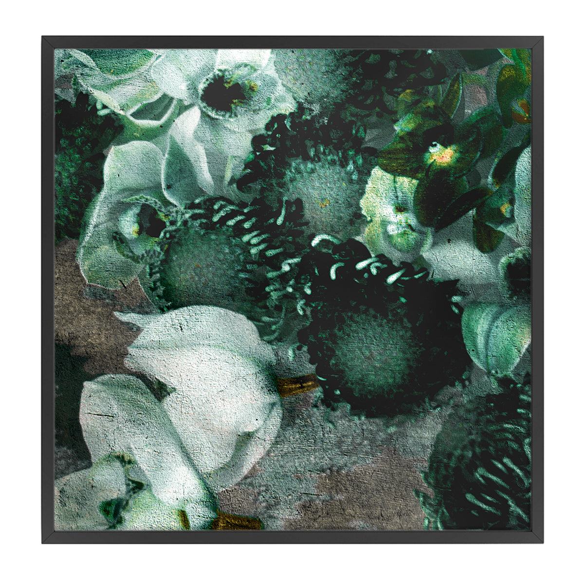 Blossom 4