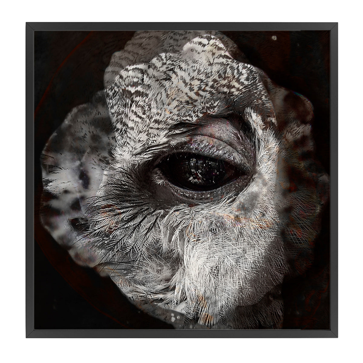 Grommet