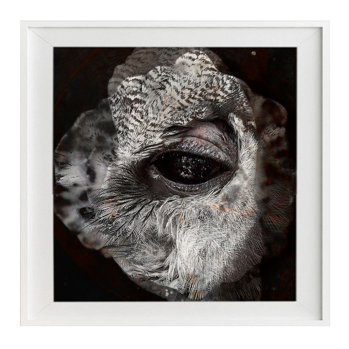 Grommet
