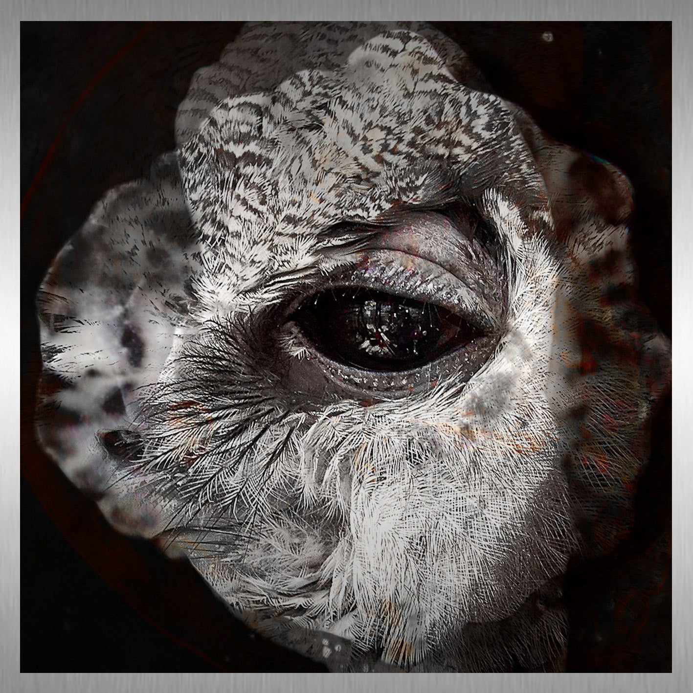 Grommet