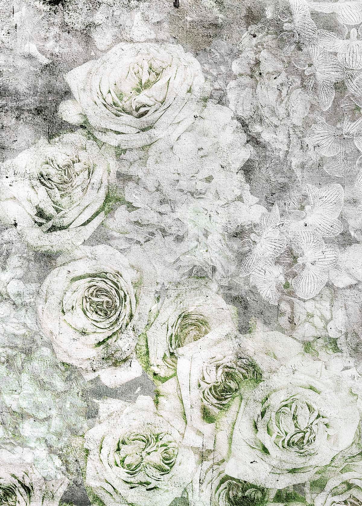 La rose blanche