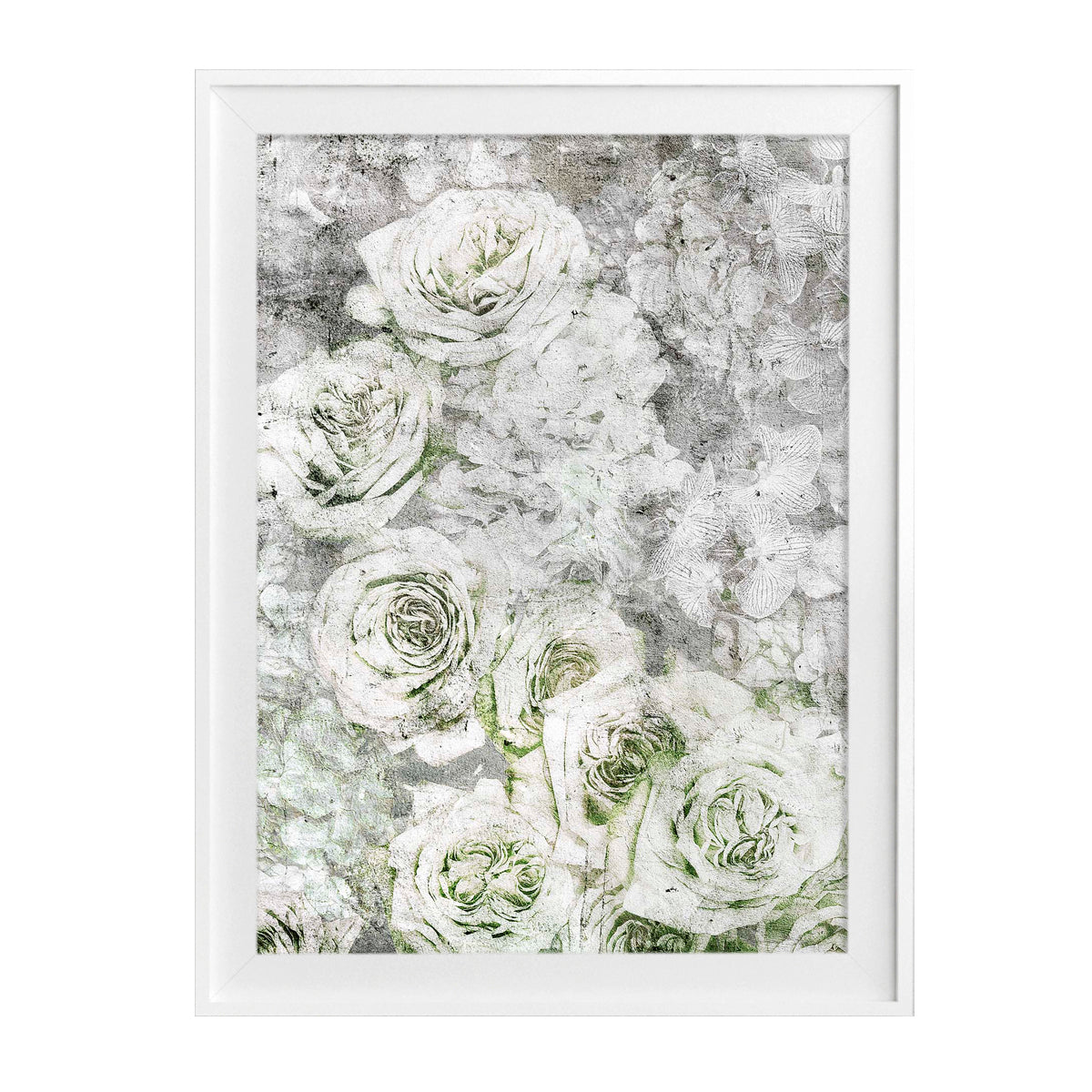 La rose blanche