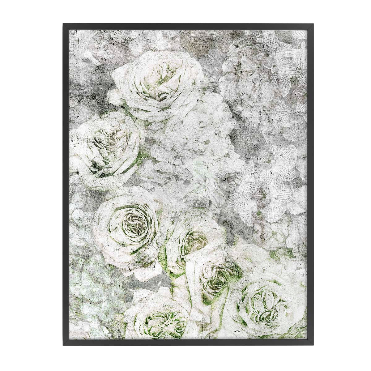 La rose blanche