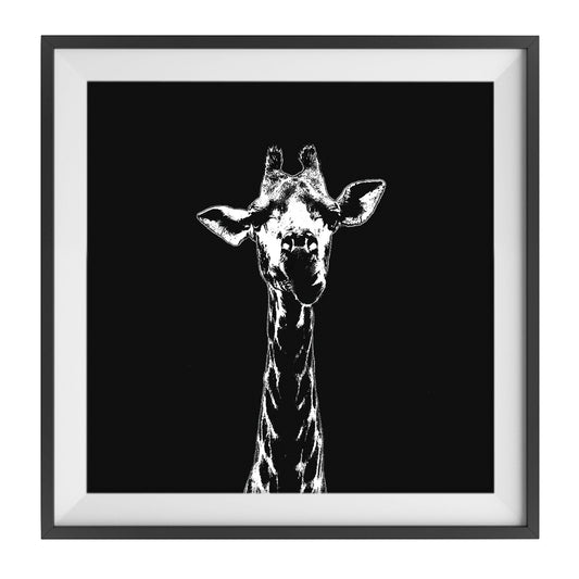 Mammal