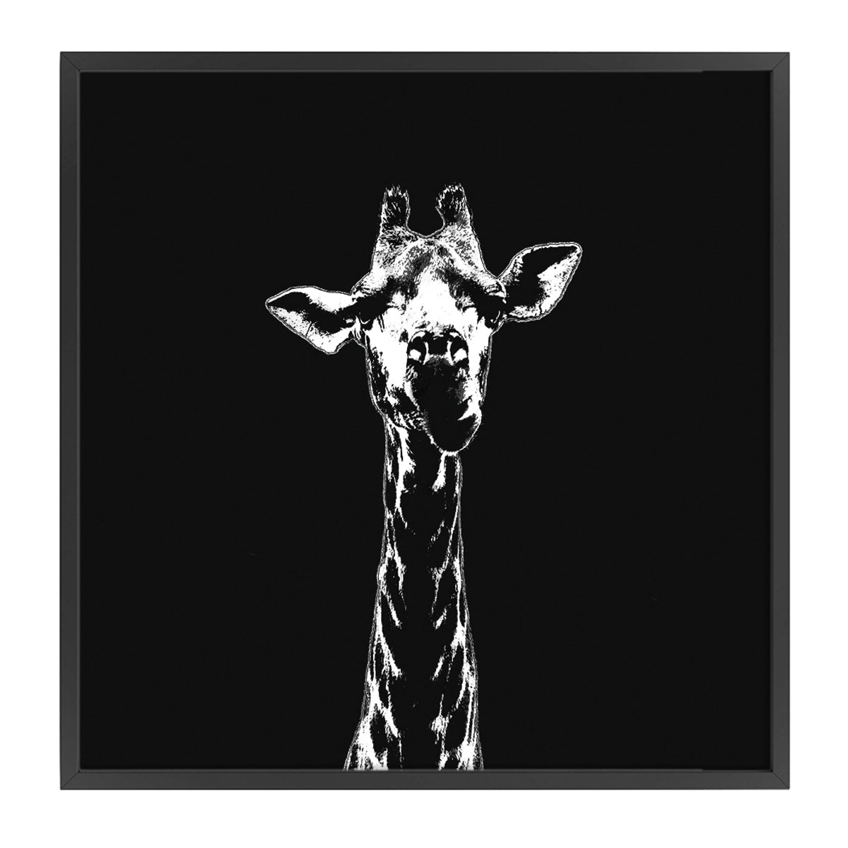 Mammal
