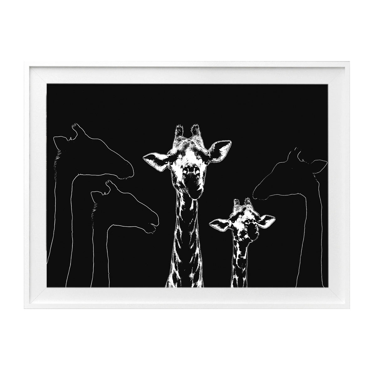 Mammals