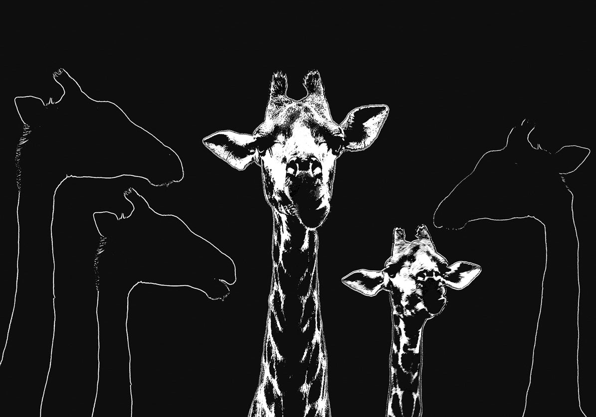 Mammals