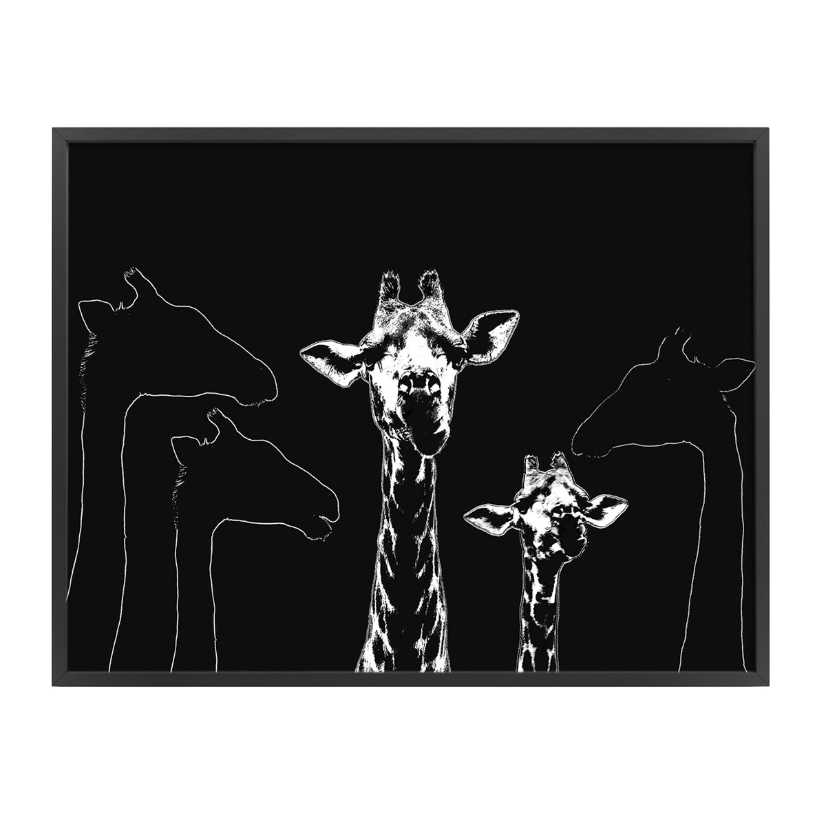 Mammals