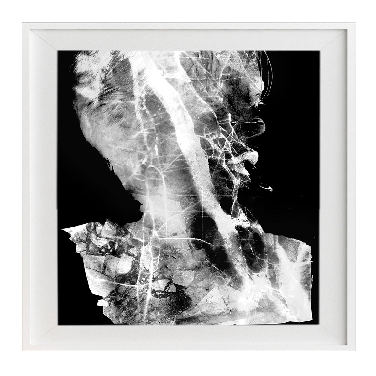 Meraki Invert 1