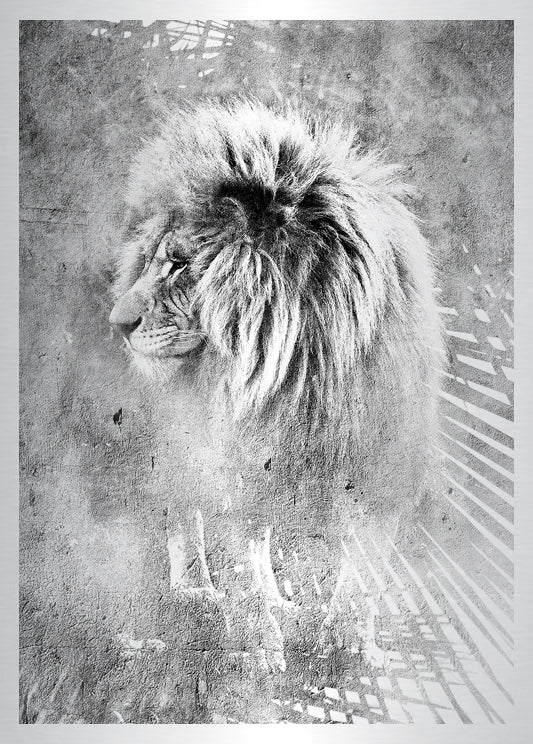 Mufasa bw