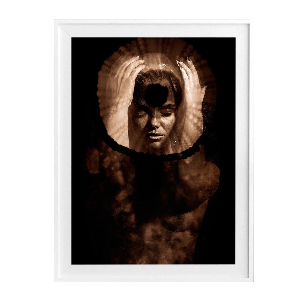 The Shell