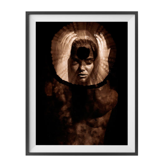 The Shell