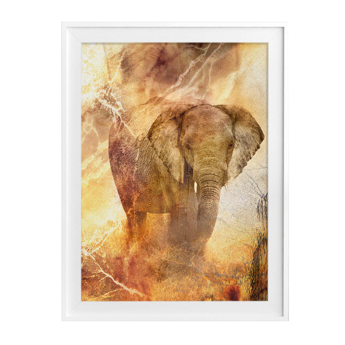 Tusk