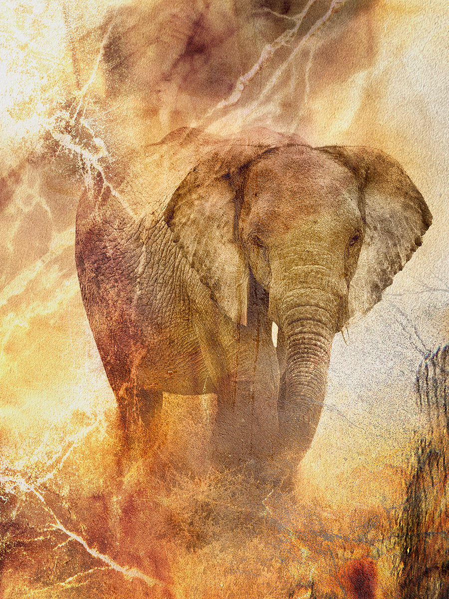Tusk