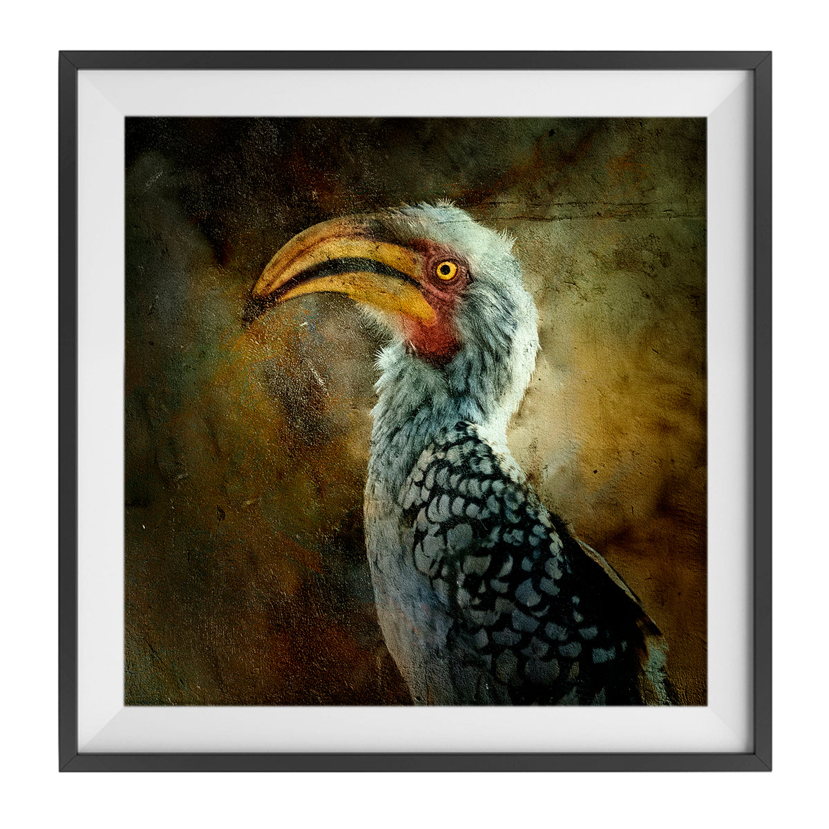 Zazu