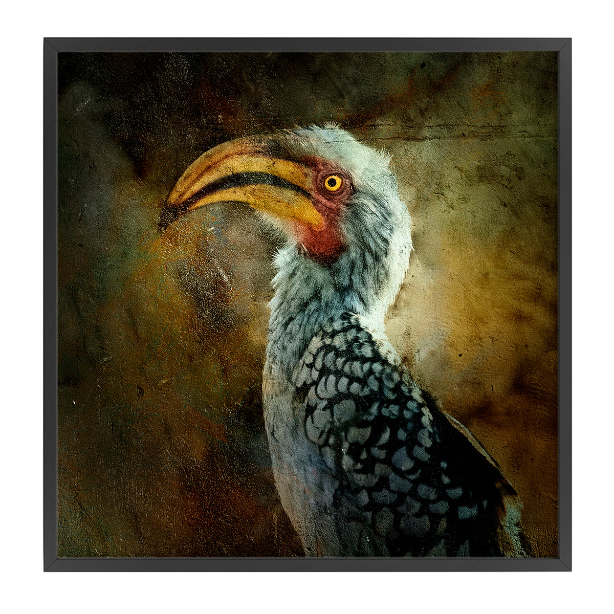 Zazu